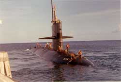 USS Trepang (SSN-674)