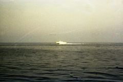 7308-033-exp