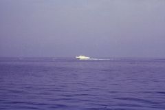 7308-033C-exp
