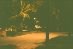 81_02_16_NightScene-exp