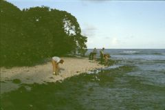 81_xx_X05_OGangLookingForShells-exp