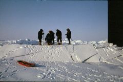 ICEX_DigOut1-exp