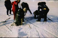 ICEX_DigOut2-exp