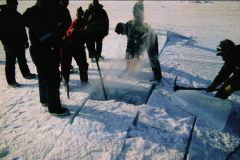 ICEX_DigOut3-exp