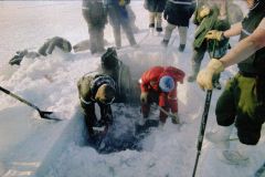 ICEX_DigOut5-exp